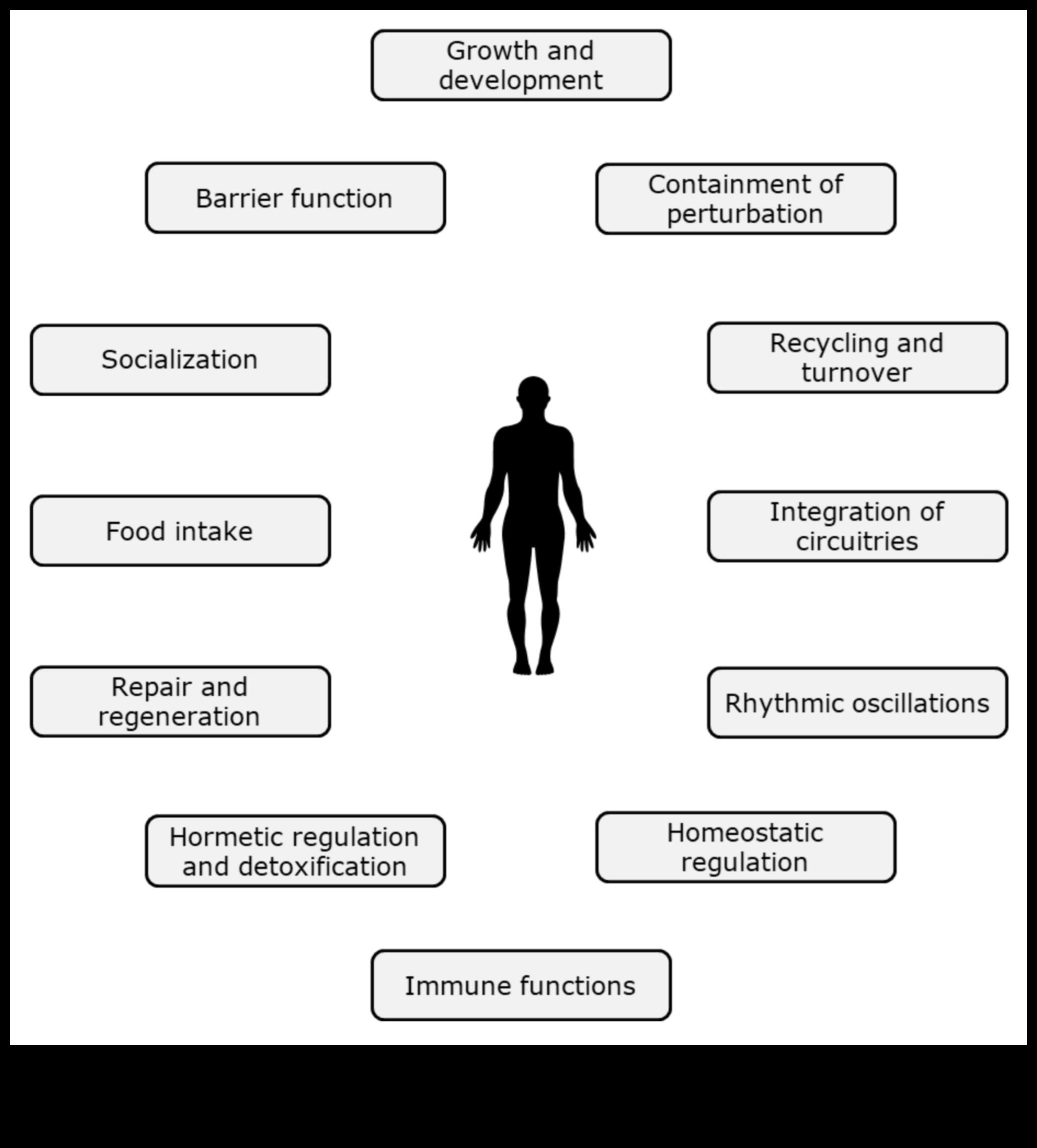 Στοιχεία Ευημερίας: Η Χημεία της Διατροφικής Βιοχημείας