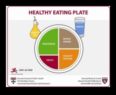 Empowering Plates Ένας οδηγός διατροφής για τη δημόσια υγεία για όλες τις ηλικίες 3 Empowering Plates: Δημόσια Υγεία Διατροφή για Όλες τις Ηλικίες