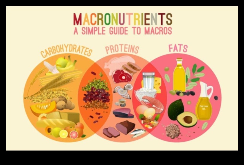 Μάστορας μακροθρεπτικών ουσιών Ένας οδηγός για τα βασικά θρεπτικά συστατικά που χρειάζεστε για να ευδοκιμήσετε 3 Μάστορας μακροθρεπτικών συστατικών: Πλοήγηση στον κόσμο των βασικών θρεπτικών συστατικών