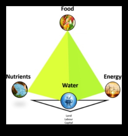 The Nutrient Nexus Ένας οδηγός για τη βέλτιστη υγεία 3 The Nutrient Nexus: Σύνδεση των κουκκίδων με τη βέλτιστη υγεία