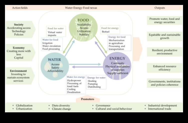 The Nutrient Nexus Ένας οδηγός για τη βέλτιστη υγεία 5 The Nutrient Nexus: Σύνδεση των κουκκίδων με τη βέλτιστη υγεία