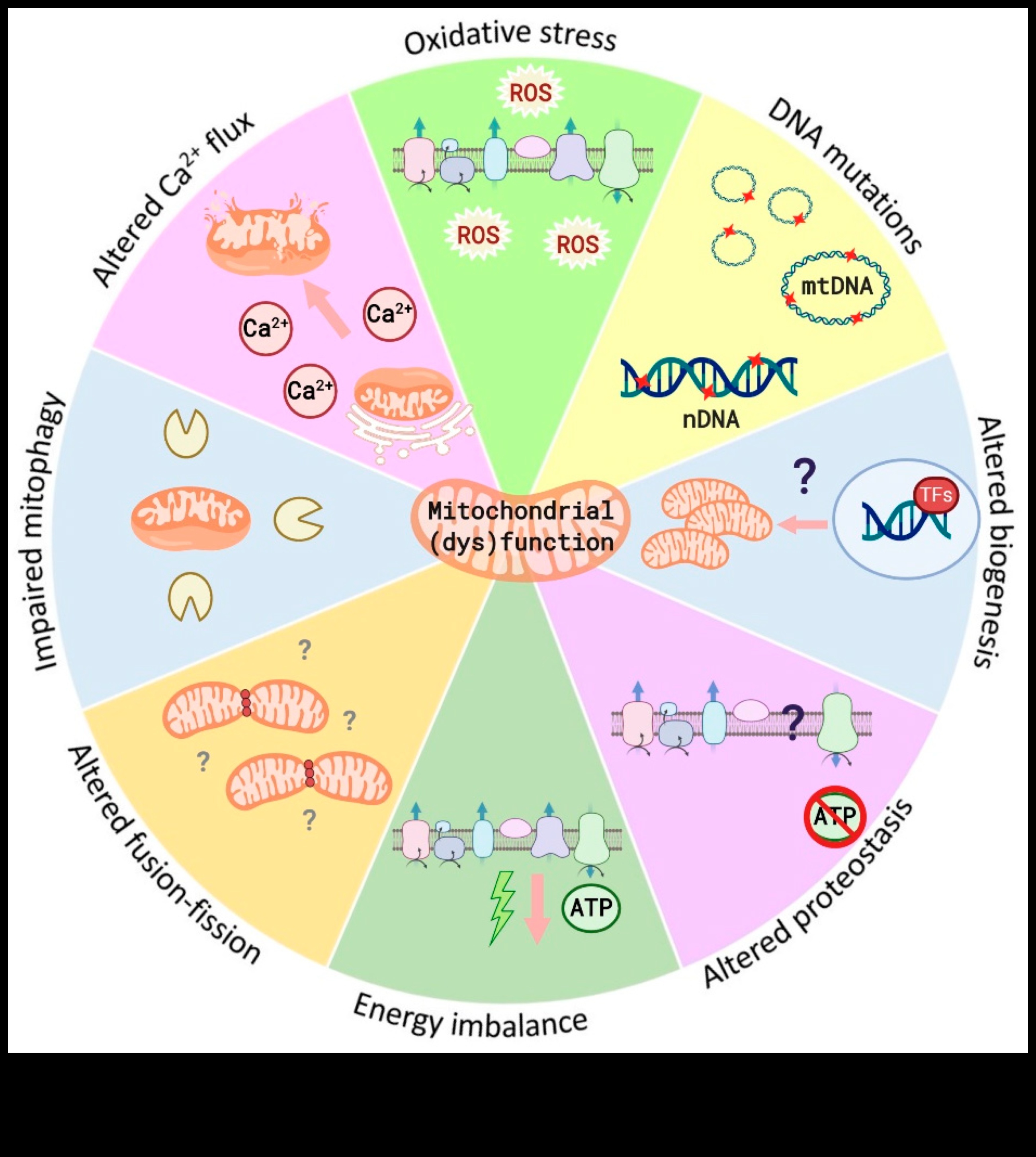 The Nutrient Quest Ένα ταξίδι για την ανακάλυψη των δομικών στοιχείων της υγείας 3 The Nutrient Quest: Ανακαλύπτοντας τα δομικά στοιχεία της υγείας