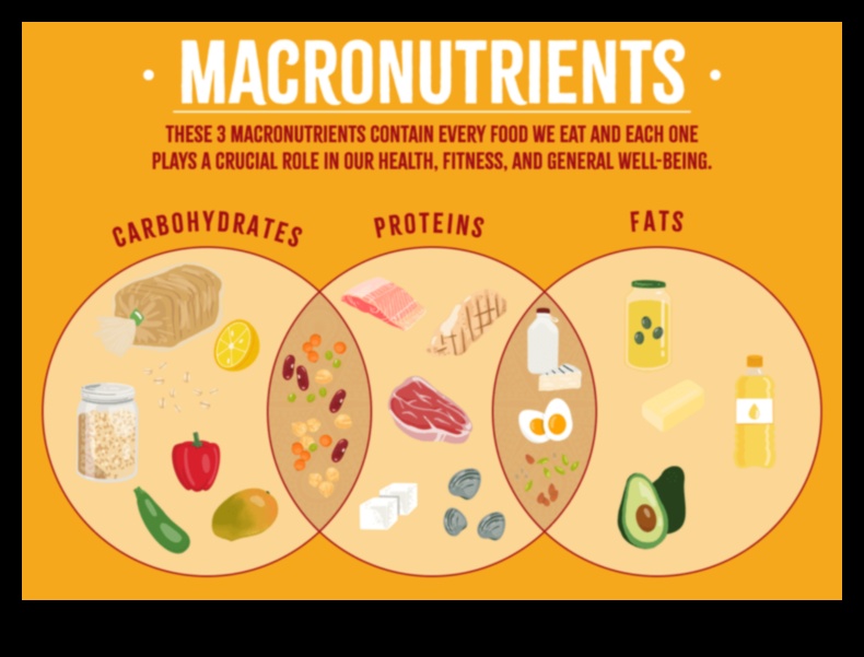 Macronutrient Magic Τα δομικά στοιχεία της βέλτιστης ευημερίας 3 Macronutrient Magic: Δομικά στοιχεία για βέλτιστη ευεξία