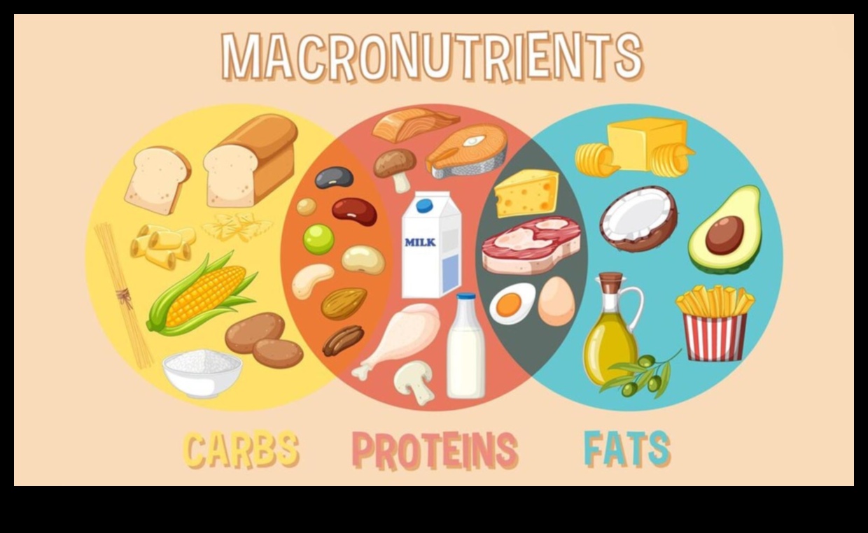 Macronutrient Magic Τα δομικά στοιχεία της βέλτιστης ευημερίας 4 Macronutrient Magic: Δομικά στοιχεία για βέλτιστη ευεξία