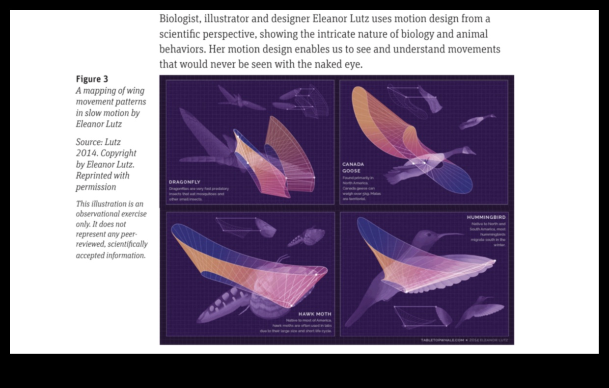 Dynamic Design Motion Graphics και Interactive Critical EvaluationsΜια κριτική ματιά στη χρήση των κινούμενων γραφικών και του διαδραστικού σχεδιασμού στον σύγχρονο κόσμο. 2 Dynamic Design: Motion Graphics και Interactive Critical Evaluations