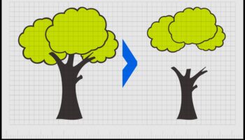 Branding Harmony: Balanceing Elements in Design and Identity