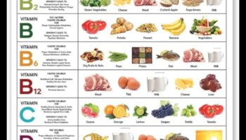 Empowering Plates: Δημόσια Υγεία Διατροφή για Όλες τις Ηλικίες