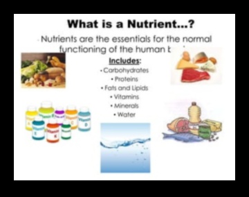 Μάστορας μακροθρεπτικών ουσιών Ένας οδηγός για τα βασικά θρεπτικά συστατικά που χρειάζεστε για να ευδοκιμήσετε 2 Μάστορας μακροθρεπτικών συστατικών: Πλοήγηση στον κόσμο των βασικών θρεπτικών συστατικών