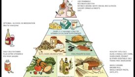 Τρώτε τακτοποιημένα σε καθημερινή βάση Ένας πραγματιστικός κινητήρια δύναμη για τη διατροφική ύπαρξη 5 Καλή διατροφή κάθε μέρα: Ένας πρακτικός οδηγός για τη διατροφική ζωή