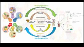 Χαρτογράφηση της Υγείας Ένα Μετακινήσεις στον Κόσμο της Διατροφογονιδιωματικής 2 Mapping Health: A Journey into the World of Nutrigenomics
