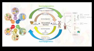 Mapping Health: A Journey into the World of Nutrigenomics