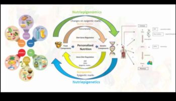 Mapping Health: A Journey into the World of Nutrigenomics