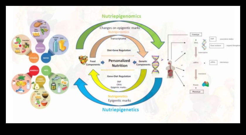 Mapping Health: A Journey into the World of Nutrigenomics